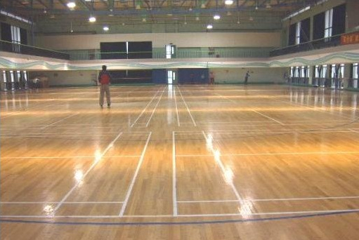 運動木地板 運動木地板