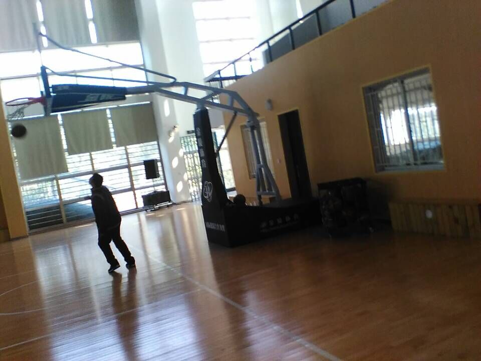 運動木地板 運動木地板