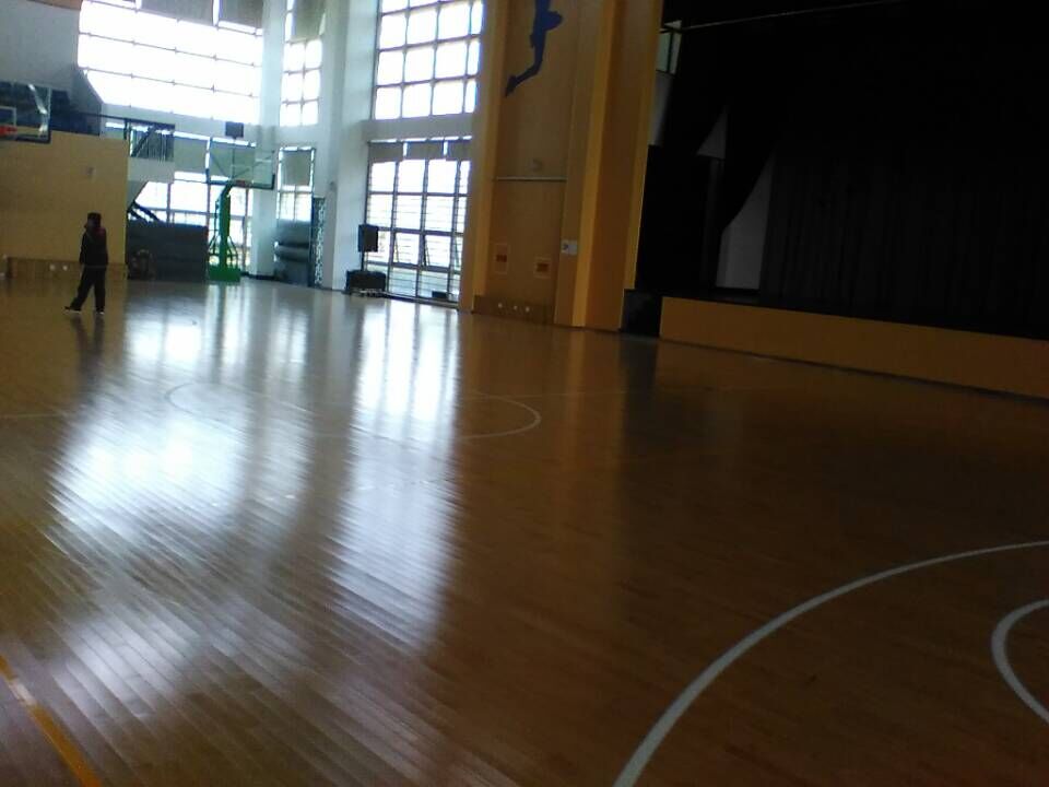 運動木地板 運動木地板