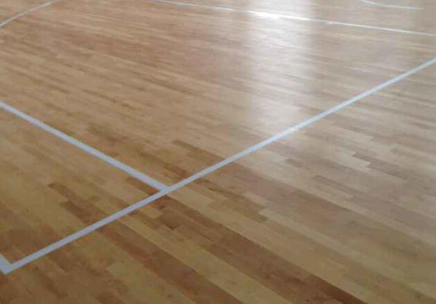 運動木地板 運動木地板